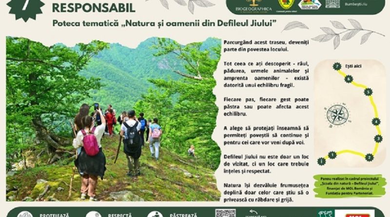 PANOURI NOI PE DEFILEU PANOURI NOI PE DEFILEU
