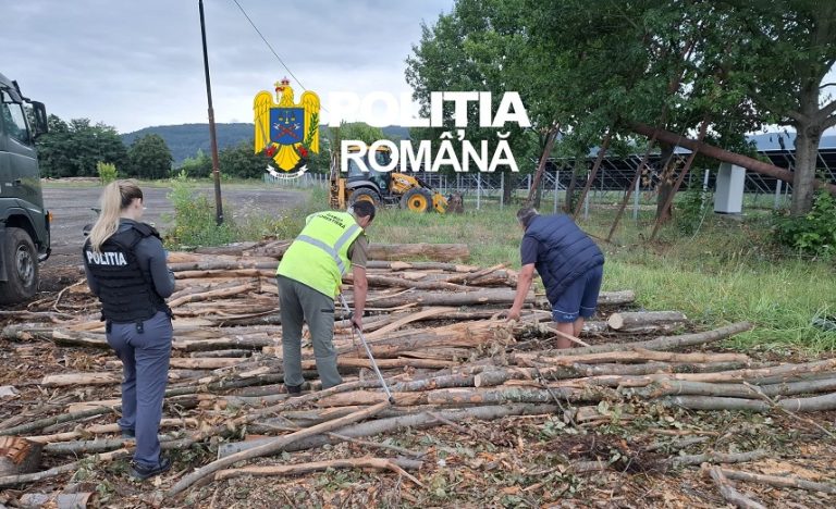 PROTEJAREA FONDULUI FORESTIER