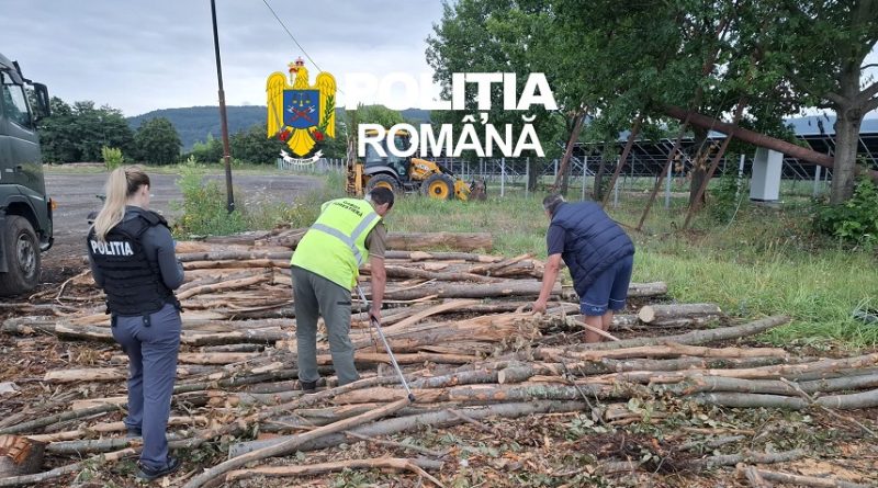 PROTEJAREA FONDULUI FORESTIER