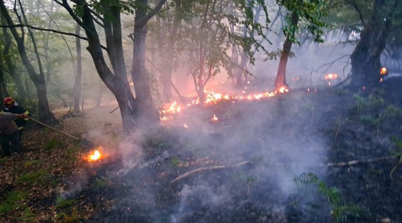 Weekend de foc pentru pompierii hunedoreni.182 de intervenții, iar incendiile de vegetație au mistuit zeci de hectare