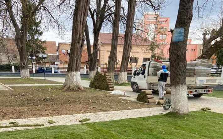 Transformare radicală la Hațeg. Parcul Central și zeci de spații verzi intră în reabilitare din fonduri europene