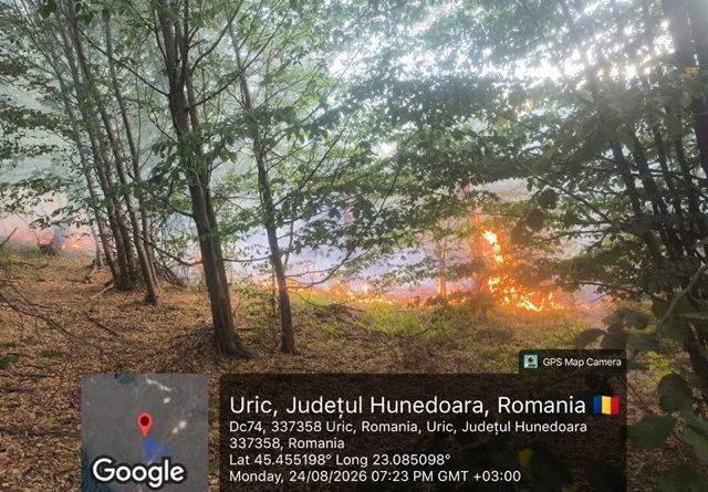 Aproape 100 de hectare au ars în Hunedoara în doar șapte zile. Focul a ajuns să amenințe gospodării