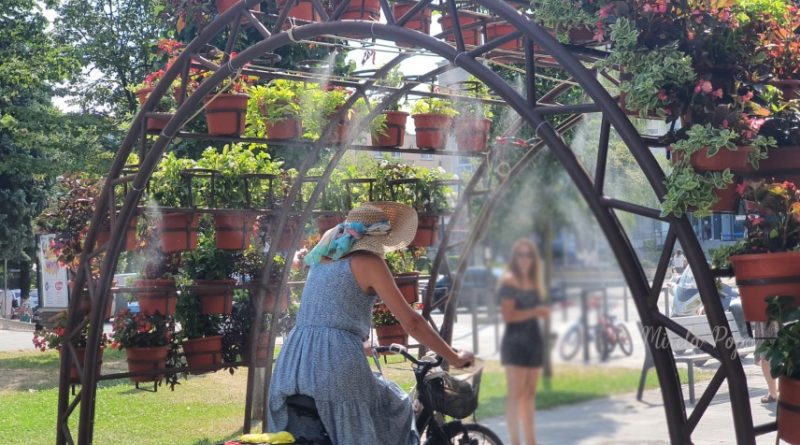 Zile călduroase până la mijloc de săptămână, în zona noastră