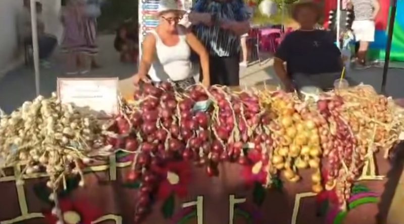 CEAPA ROȘIE DE BĂRĂȘTI