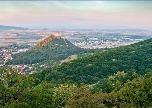 Lucrări de dezinsecție pe Dealul Cetății Deva