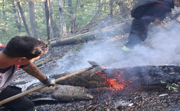 ARDE VEGETAȚIA ÎN JUDEȚUL HUNEDOARA