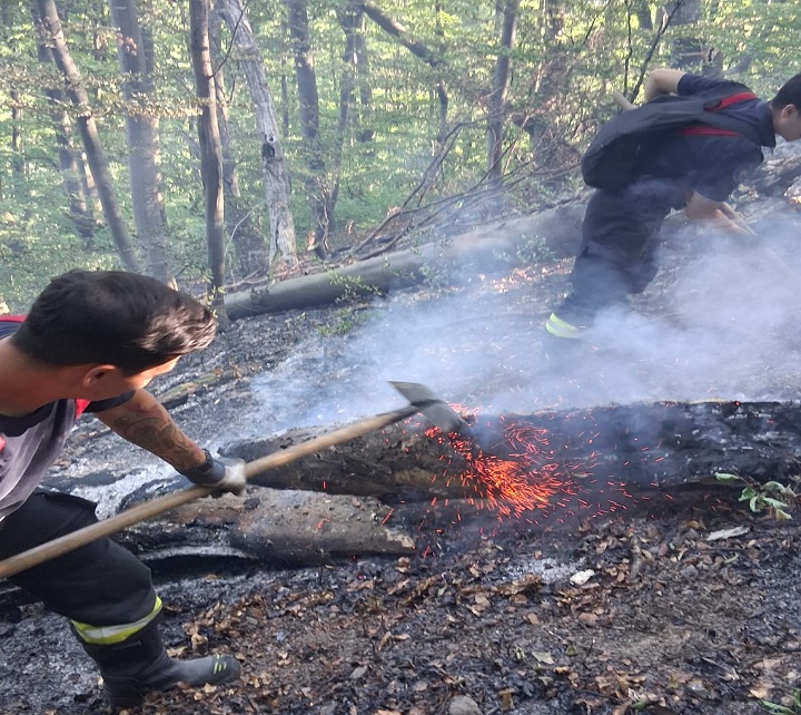 ARDE VEGETAȚIA ÎN JUDEȚUL HUNEDOARA