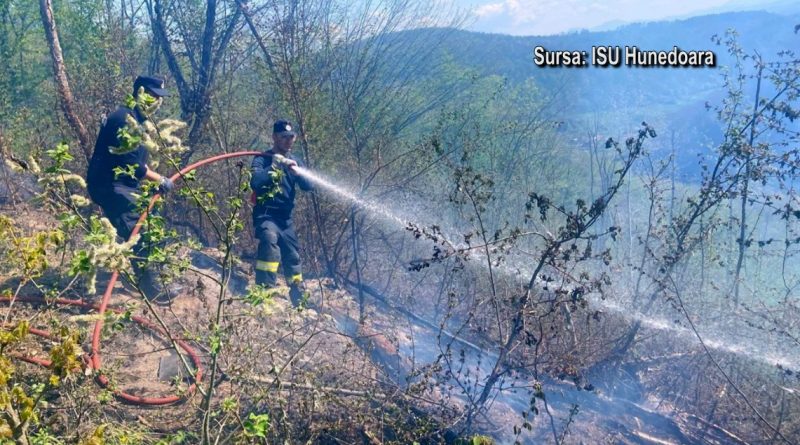 ÎN DOAR DOUĂ ZILE