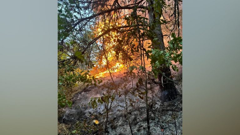 INCENDII LA ROVINA ȘI CIOPEIA