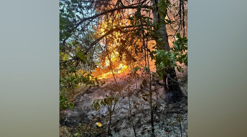 INCENDII LA ROVINA ȘI CIOPEIA