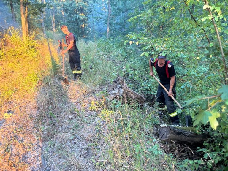 INCENDII ÎN SERIE