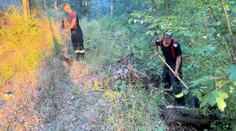 INCENDII ÎN SERIE