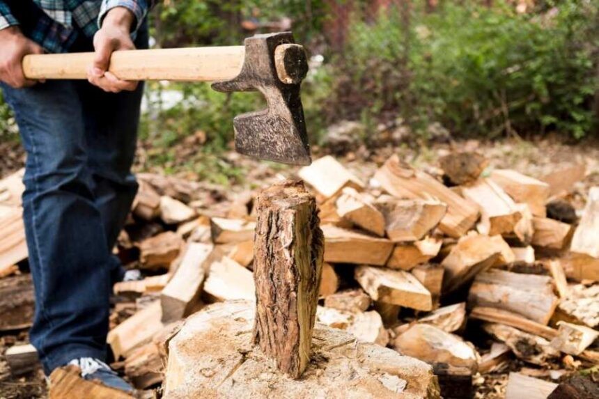 Cum poți munci legal în gospodăriile altor persoane, fără PFA sau firmă