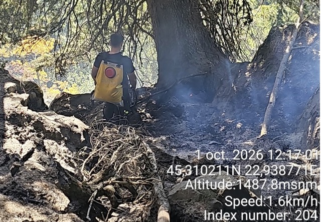 Incendiu în Retezat, pe circa două hectare. Două focare sunt încă active